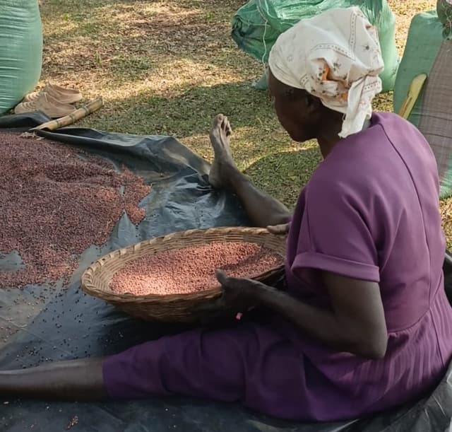Women in farming livelihoods program
